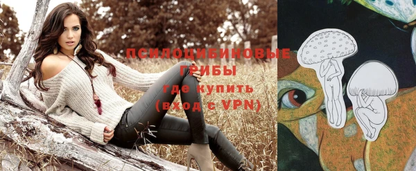 прущие крисы Алзамай